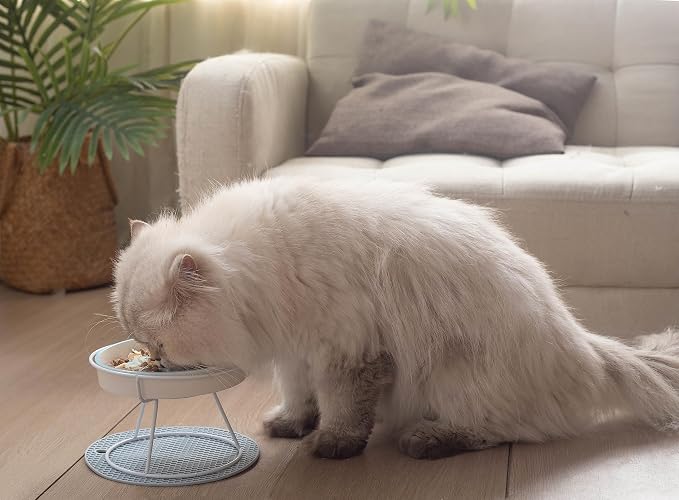 Ceramic Fish-Bone Slow Food Bowl for Cats and Dogs, Dishwasher Safe, Non-Toxic, Engaging Design, Prevents Obesity | Ceramic Bowl Elevated Anti Vomit Whisker-Friendly Wet & Dry Food - Image 6
