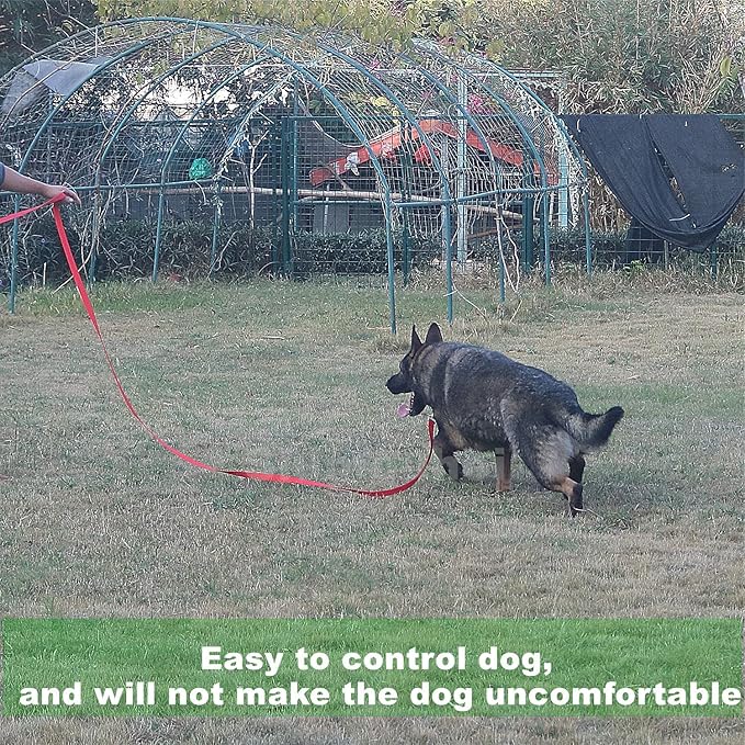 Strong Durable Nylon Dog Training Leash, 1 Inch Wide Traction Rope, 6 ft Long, for Small and Medium Dog (Pink, 6 Feet) - Image 6