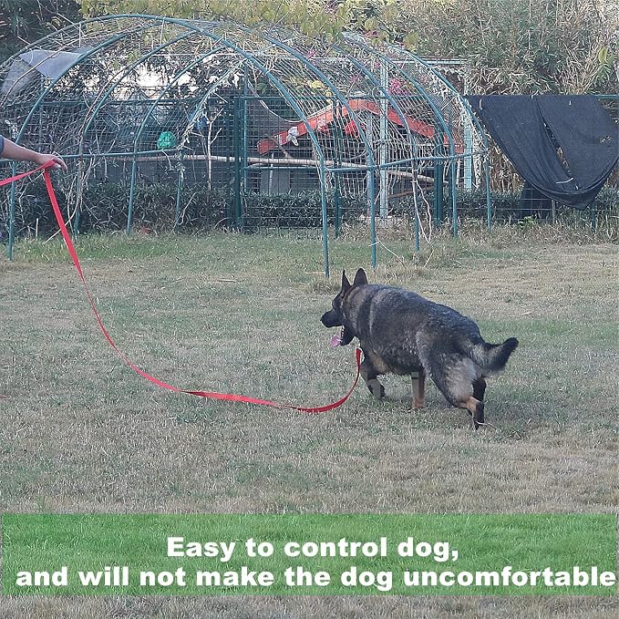 Strong Durable Nylon 10ft Long Dog Training Leash, Traction Rope, 1 Inch Wide, for Small and Medium Dog (Black, 10 Feet) - Image 6