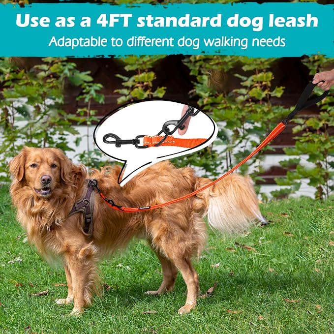 PetBonus Two Point Control Dog Leash, No Tangle Training Walking Leashes | Soft Padded Handle, Reflective, Works with No Pull Harnesses, Converts to Single Lead for Medium Large Dogs, Orange - Image 6