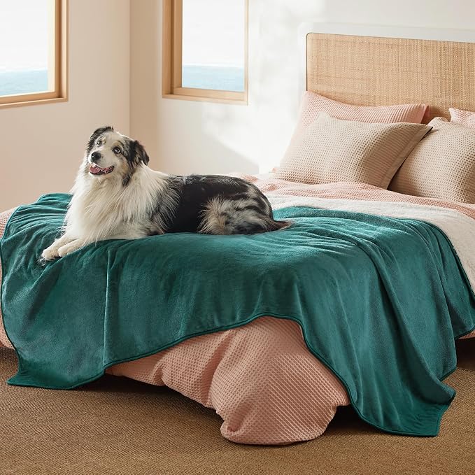Bedsure Waterproof Blanket for Bed Soft Sherpa Fleece Throw,Twin 80"x60" | Plush Cozy Calming Reversible Dog Blankets for Large Senior Dogs,Warm Bed Couch Cover,Pet Furniture Protector,Green by Unknown