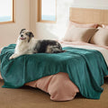 Bedsure Waterproof Blanket for Bed Soft Sherpa Fleece Throw,Twin 80"x60" | Plush Cozy Calming Reversible Dog Blankets for Large Senior Dogs,Warm Bed Couch Cover,Pet Furniture Protector,Green by Unknown