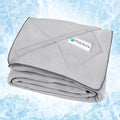 PetAmi Premium Cooling Dog Blanket | Lightweight Fluffy Pet Throw Blanket Bed Cover for Dogs, Cat, Puppies | Pet Blanket Furniture Protector Couch Sofa | Reversible Fuzzy Cozy | 29x40, Light Grey by PetAmi