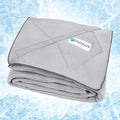 PetAmi Premium Cooling Dog Blanket | Lightweight Fluffy Pet Throw Blanket Bed Cover for Dogs, Cat, Puppies | Pet Blanket Furniture Protector Couch Sofa | Reversible Fuzzy Cozy | 40x60, Light Grey by PetAmi