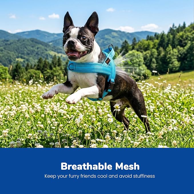 No Pull Dog Harness for Small Dogs, Breathable Mesh Padded, Blue, XS | Quick Fit, Easy On and Off, Lightweight, Reflective Vest Harness for Night Safty, Easy for Walking and Training, Chest 15-18" - Image 2