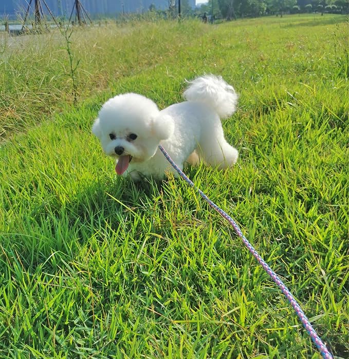 Reflective Dog Leash 2/3/4/6/10ft Braided 1/2" Strong Nylon Rope | 6FT Pink Dog Leash for Large Medium Small Dogs Walking Training Leads - Image 9