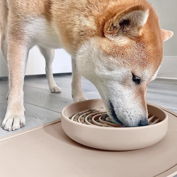 Should We Go? Slow Feeder Dog Bowls - Medium Size Silicone Slow Eating Dog Bowl for Puppies & Dogs with Suction Cup -Dishwasher-Safe, Lick Mat Design, Reduces Gulping,for All Breeds,7.5”x1.5”- Sand - Image 4