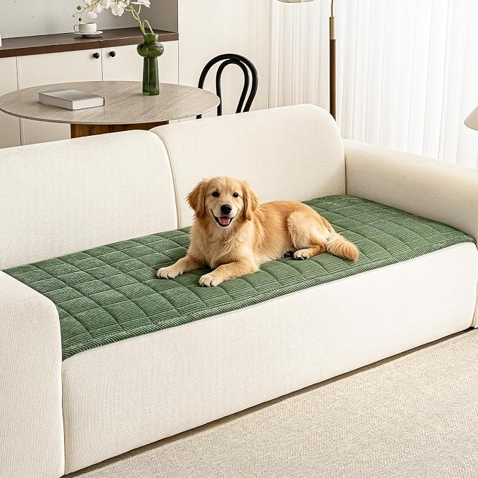 Couch Covers for Dogs, Non Slip Washable Pet Couch Covers for Sofa | 27.6”x70.9” Green Soft Velvet Sofa Covers for 2-3 Cushion Couch, Couch Protect Against Pet Hair, Scratches & Stains by PJLZJFBY