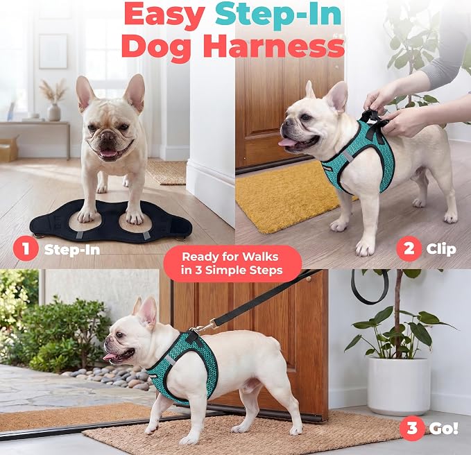 Voyager Step-in Air Dog Vest Harness - Turquoise 2-Tone, Medium | 16 - 18" in Chest, Reflective Bands, All Weather Breathable Air Mesh, Cats Compatible, Lightweight, Fast Drying - Image 3