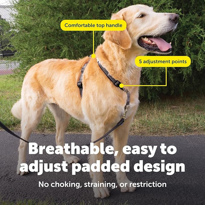 PetSafe 3 in 1 No-Pull Dog Harness - Walk, Train or Travel - Helps Prevent Pets from Pulling on Walks - Seatbelt Loop Doubles as Quick Access Handle - Reflective Accents - Large, Black | Rests on Chest Not Throat to Reduce Pulling, 5 Adjustment Points,... - Image 4