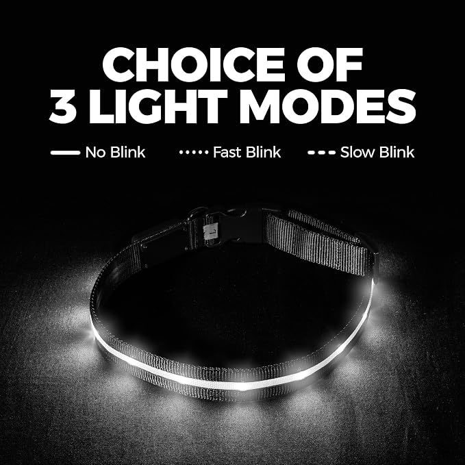 Blazin Light Up Dog Collar - The Original LED Dog Collar - USB Rechargeable - Waterproof - 1,000 Feet of Visibility - Dog Collar Light for Small, Medium, Large Dogs - USA Brand - Image 6