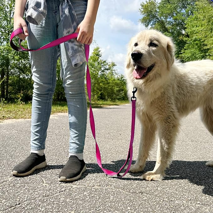 Joytale Dog Leash for Large Dogs that Pull, Double Handle, 4FT, Hot Pink | Traffic Handle for Control, Padded Handle Reduces Hand Strain, Reflective Stitching for Night Safety, Strong Nylon Webbing - Image 7