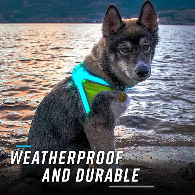 noxgear LightHound Light Up Reflective Dog Harness and Wrist Light, X-Large | 360° Light Up Reflective Dog Harness, 8 Colors & 6 Modes, USB Rechargeable, Adjustable, Rainproof, LED Fiber Optic - Image 8