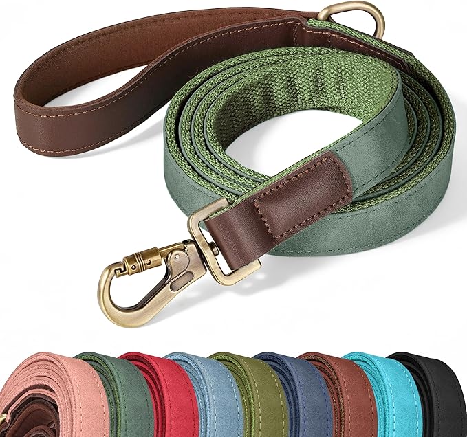 PU Leather Dog Leash for Large Dogs, 6ft Soft Padded Handle, Green | Comfortable Grip for Daily Walking Training, Full Control, Metal D-ring, Tangle-Free 360° Swivel Clasp, Easy to Clean, 1 inch by Didog