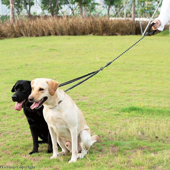 Double Dog Leash, 360° Swivel, No Tangle, Large, 25-150 lbs, Black | Dual Leash for Two Dogs, Split Leash, Shock-Absorbing Bungee, Padded Handle, Heavy-Duty Rope - Image 6