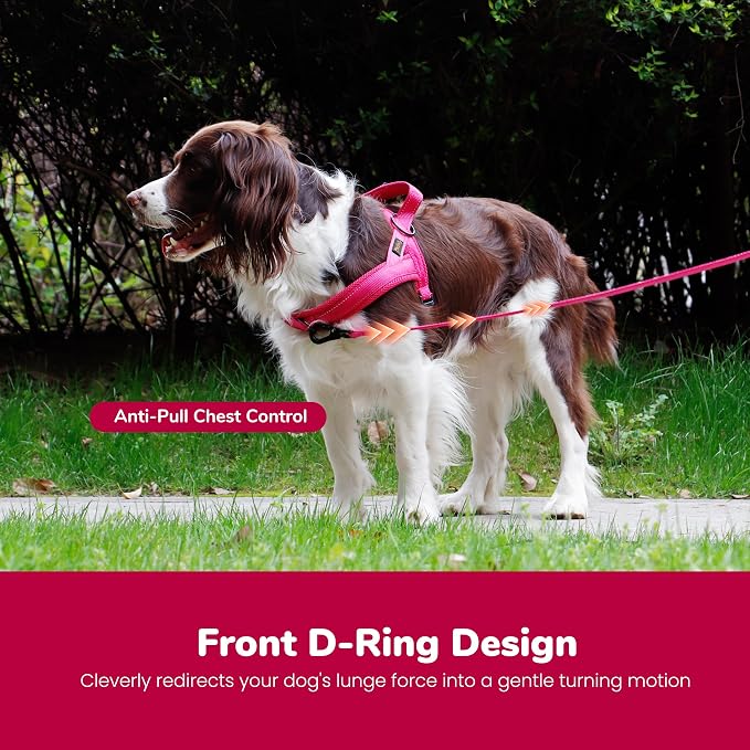 No Pull Dog Harness for Large Dogs, Breathable Mesh Padded,Hot Pink,L | Quick Fit, Easy On and Off, Lightweight, Reflective Vest Harness for Night Safty, Easy for Walking and Training, Chest 26-32" - Image 5