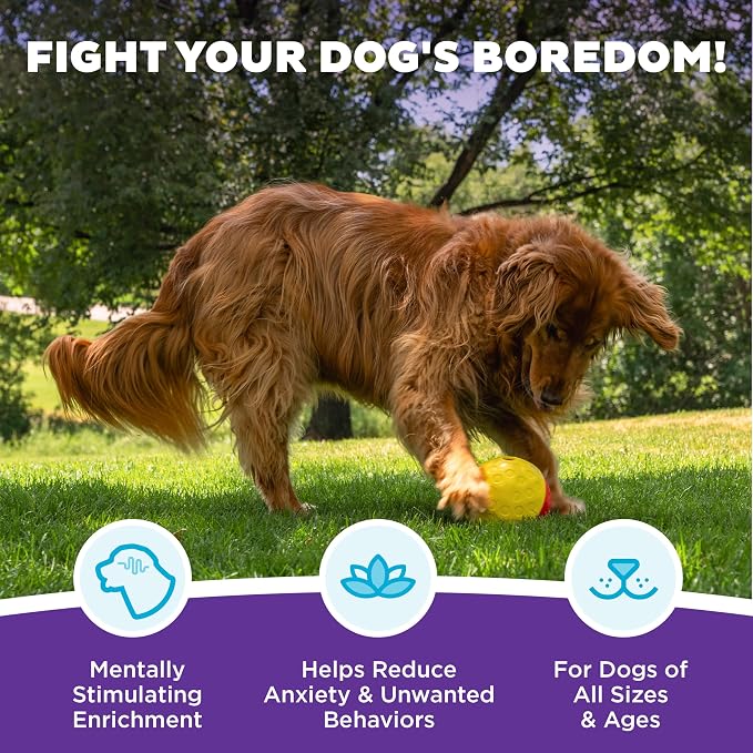 Outward Hound Nina Ottosson Treat Tumble Dog Toy Puzzle Ball, 5.8" | Level 1 Easy, Food-Dispensing Ball, Holds 1 Cup Kibble or Treats, No BPA, Interactive Enrichment, Dogs & Puppies - Image 3