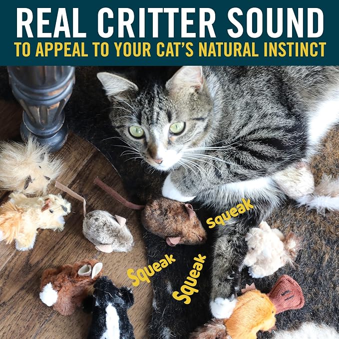 OurPets Play-N-Squeak Mouse Hunter Cat Toys with Catnip | Interactive Toy with Real Mouse Electronic Sound, for Indoor Cats - Image 5