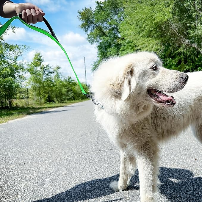 Joytale Dog Leash for Large Dogs that Pull, Double Handle, 5FT, Green | Traffic Handle for Control, Padded Handle Reduces Hand Strain, Reflective Stitching for Night Safety, Strong Nylon Webbing - Image 4
