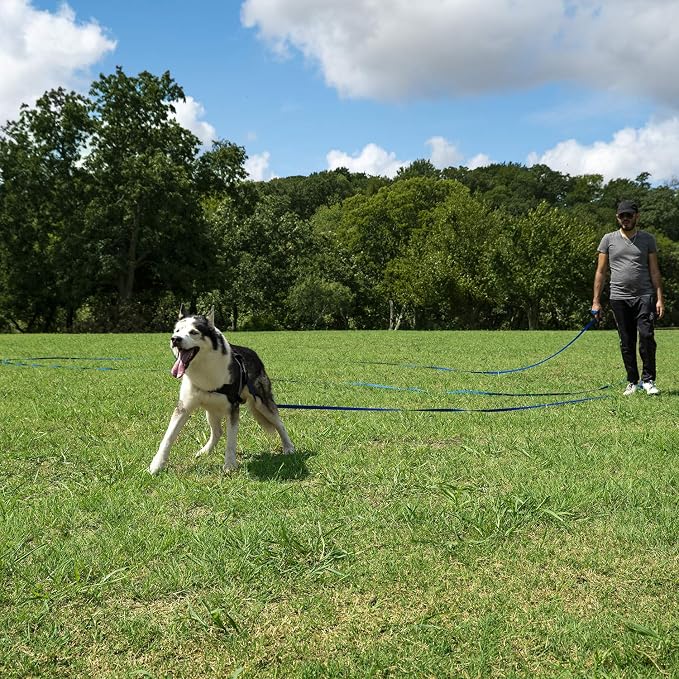 Hi Kiss Dog/Puppy Obedience Recall Training Agility Lead - 15ft 20ft 30ft 50ft 100ft Leash Great for Training, Play, Camping, or Backyard Black - Image 6