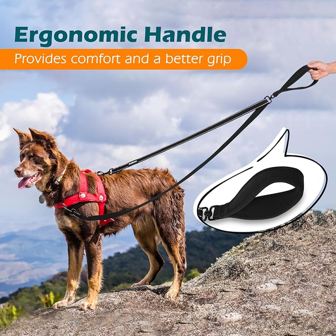 PetBonus Two Point Control Dog Leash, No Tangle Training Walking Leashes | Soft Padded Handle, Reflective, Works with No Pull Harnesses, Converts to Single Lead for Medium Large Dogs, Black - Image 5