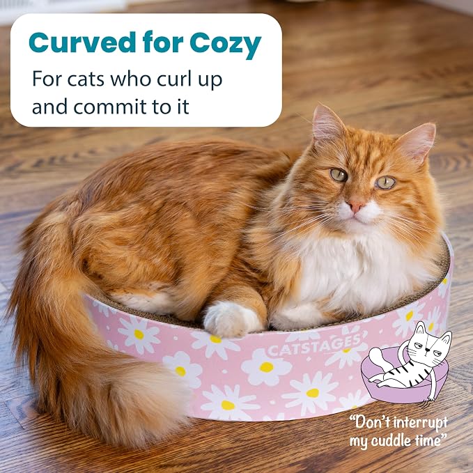 Catstages Scratch & Snuggle 2-in-1 Cat Scratcher & Lounger, Corrugated Cardboard Scratching Pad, Bowl-Shaped Design for Kittens & Indoor Cats up to 15 lbs, 16" - Image 4