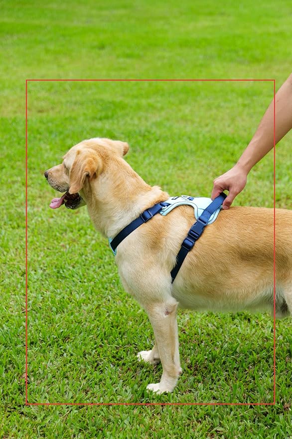 Dog Harness and Leash Set with Collar, No Pull Reflective Pet Vest Harness with Control Handle for Medium Large Dogs Walking and Training - Image 8