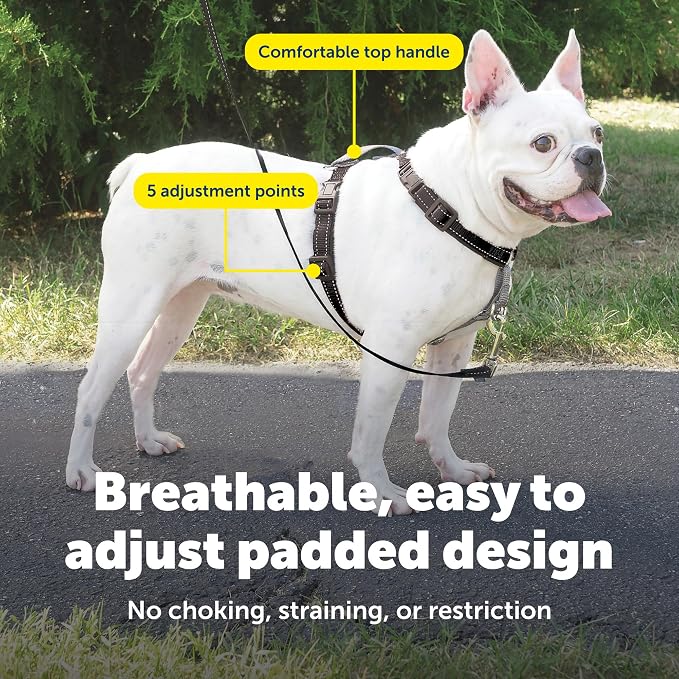 PetSafe 3 in 1 No-Pull Dog Harness - Walk, Train or Travel - Helps Prevent Pets from Pulling on Walks - Seatbelt Loop Doubles as Quick Access Handle - Reflective Accents - Small, Black | Rests on Chest Not Throat to Reduce Pulling, 5 Adjustment Points,... - Image 4