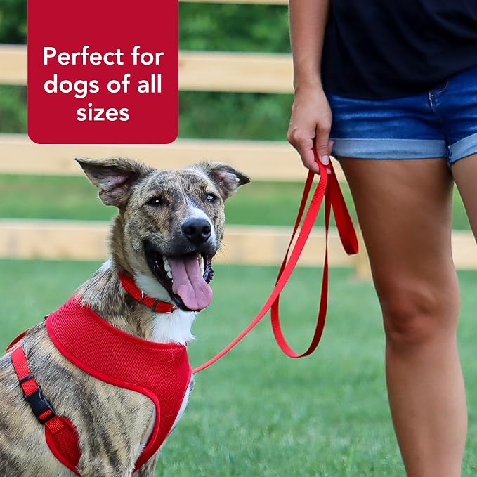 Coastal Pet Single-Ply Dog Leash - Sturdy Pet Leash - Comfortable & Stylish - Resists Fraying - Vibrant & Fade-Resistant Color - Pink Bright, 5/8" x 6' - Image 5