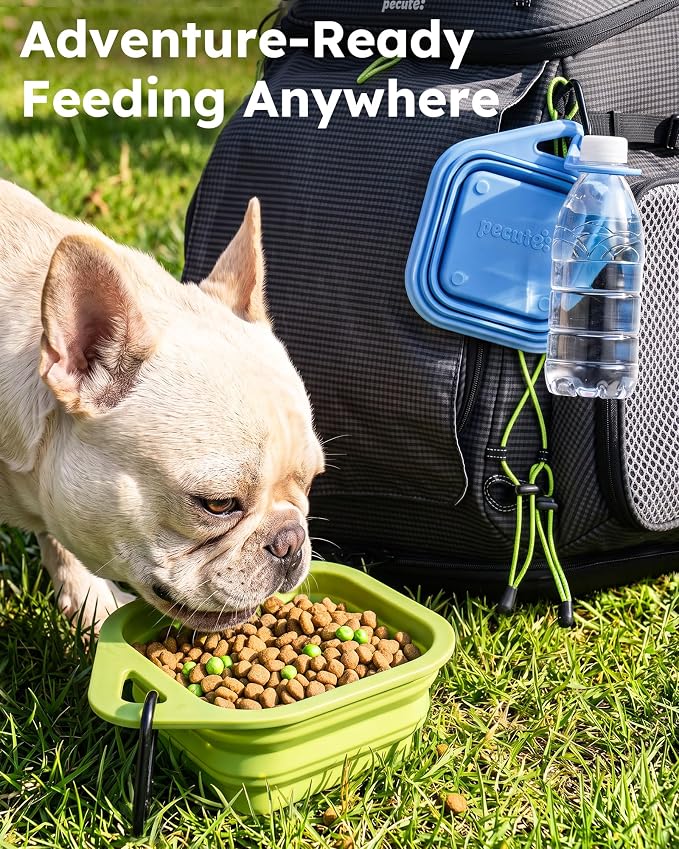Pecute 2 Pack Foldable Dog Bowls for Travel, Portable Silicone, Blue/Green | Food-Grade Silicone, BPA Free, with Carabiner Clip for Hiking, Durable & High Quality, Dishwasher Safe, 15oz Per Bowl - Image 2