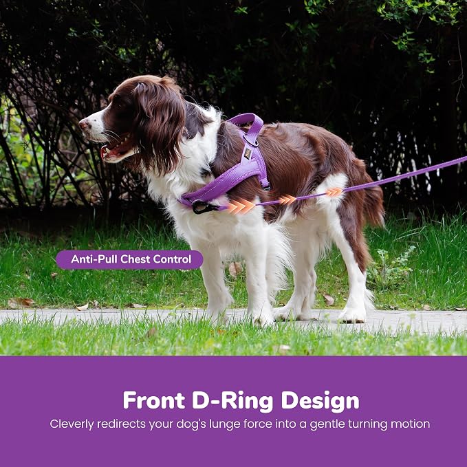 No Pull Dog Harness for Small Dogs, Breathable Mesh Padded, Purple, S | Quick Fit, Easy On and Off, Lightweight, Reflective Vest Harness for Night Safty, Easy for Walking and Training, Chest 18-22" - Image 5