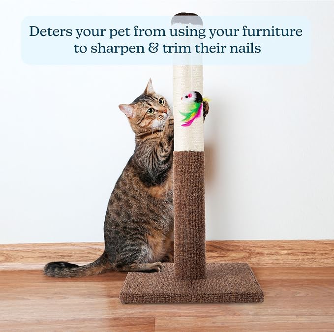 PETMAKER Cat Scratching Post - Tall Scratcher for Cats and Kittens with Sisal Rope and Carpet, Hanging Mouse Toy for Interactive Play (24.5 Inch) - Image 4