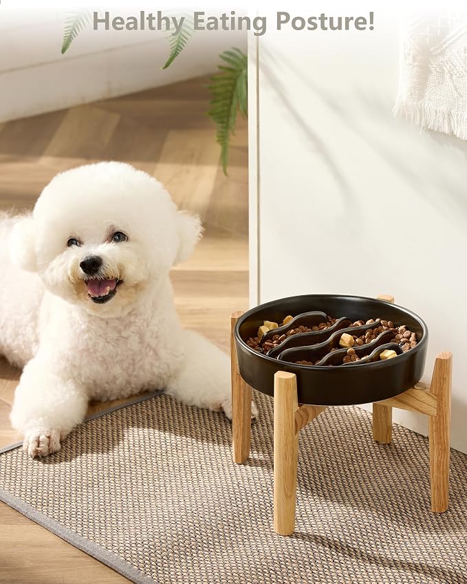 Ceramic Slow Feeder Dog Bowls Elevated, 2.0 Cups Dog Slow Feeder for Medium and Large Dogs, 30oz, 8in, Black - Image 2