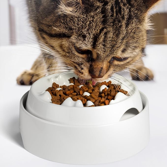 CatGuru Whisker-Friendly Slow Feeder Cat Bowl for Healthy Digestion | Perfect for kittens, adult, and senior cats. Encourages calm, healthy eating habits at every age. - Image 5