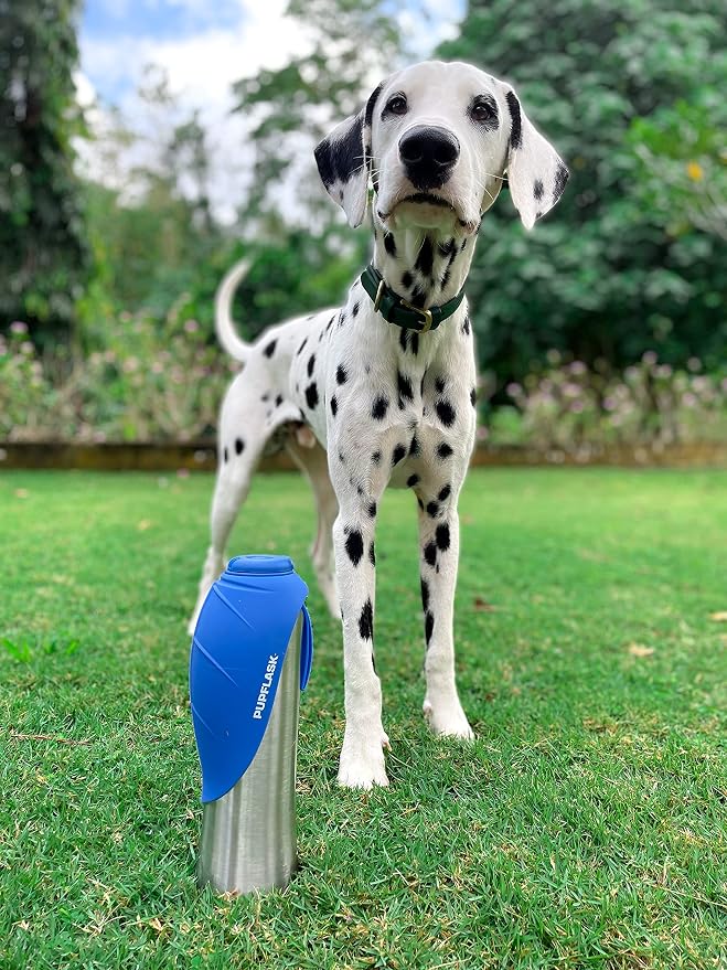 PupFlask Large Dog Water Bottle, Portable Stainless Steel Travel Bowl | 27 or 40 oz Leak-Proof Drink Dispenser with Built-In Cup and Carry Strap for Walking, Hiking and Travel; For All Dog Breeds - Image 9