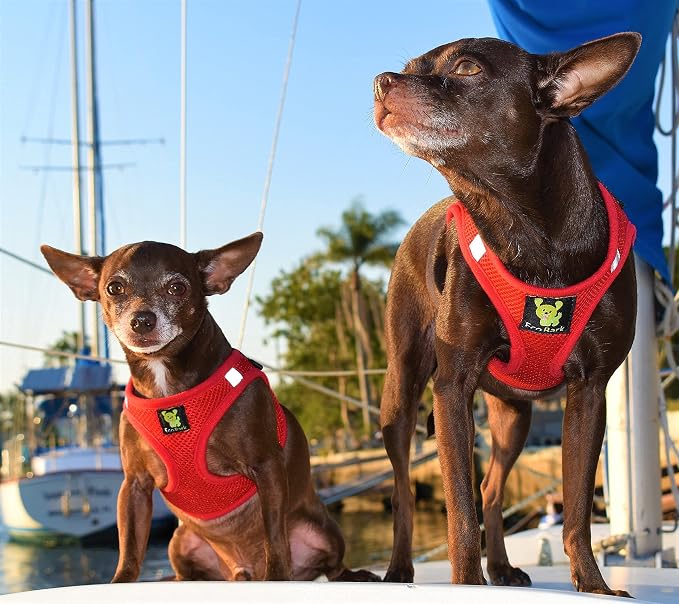 EcoBark Adjustable Step in Dog Harness, Double Padded Vest, X Large, Red | Rapid Fastener, Super Comfort Breathable Eco Friendly Recycled Mesh, No Choke Vest for Outdoor Walking, Running & Hiking - Image 6