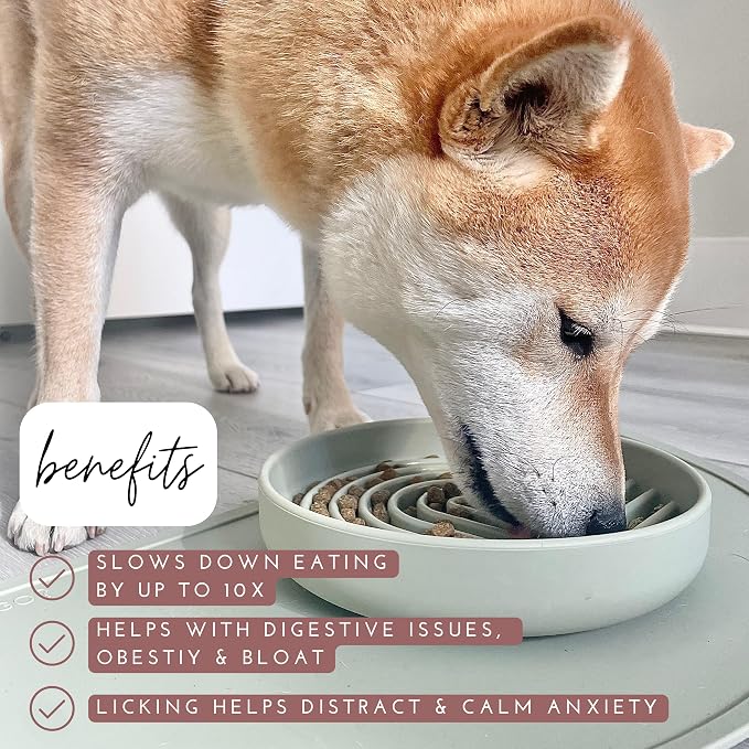 Should We Go? Slow Feeder Dog Bowls - Medium Size Silicone Slow Eating Dog Bowl for Puppies & Dogs with Suction Cup -Dishwasher-Safe, Lick Mat Design, Reduces Gulping,for All Breeds,7.5”x1.5”- Tan - Image 3