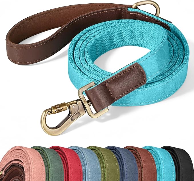 PU Leather Dog Leash for Large Dogs, 6ft Padded Handle, Light Blue | Comfortable Grip for Daily Walking Training, Full Control, Metal D-ring, Tangle-Free 360° Swivel Clasp, Easy to Clean, 1 inch by Didog