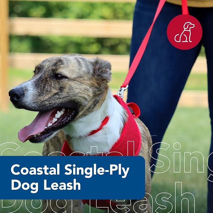 Coastal Pet Single-Ply Dog Leash - Sturdy Pet Leash - Comfortable & Stylish - Resists Fraying - Vibrant & Fade-Resistant Color - Orchid, 3/8" x 6' - Image 2