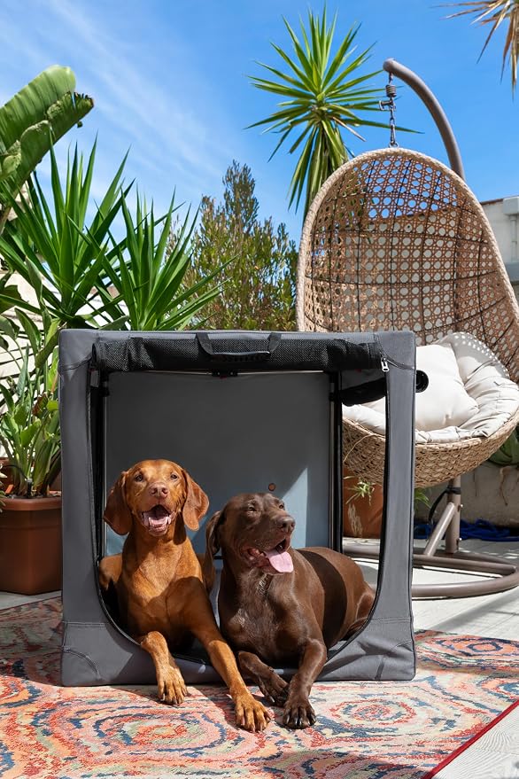 Noah & Paw Collapsible Dog Crate 42 Inch, XXL Dog Crate for XXL, XL, Large Breeds, Travel Kennel for Car, Includes Pet Mat for Pet Cage, 2 Storage Pockets, Handbag, 10mm Locking Zippers 42 * 31 * 31 - Image 3