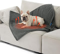Bedsure Self Warming Dog Blankets for Medium Dogs Waterproof - 30"X40" Grey | Soft Plush Sherpa Fleece Cat Puppy Blanket Washable for Couch Protector Reversible, Cozy Calming Throw Warm for Pet by Unknown
