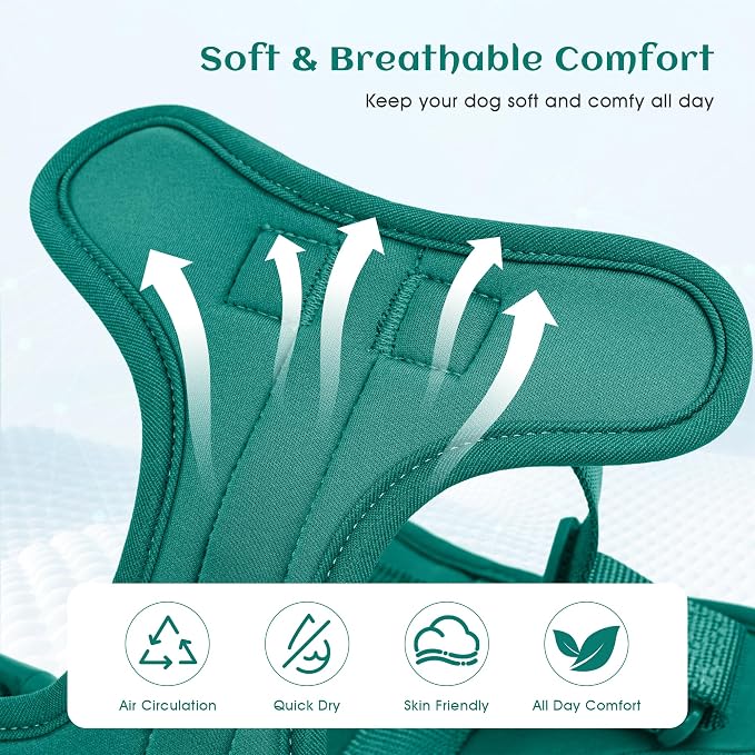 Wisedog Lightweight No Pull Dog Harness, Emerald Green, Small | Air Mesh, 3 Clips, Adjustable, No Choke Design, Ideal for Walking Training - Image 2