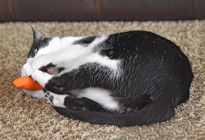 OurPets 100-Percent North American Catnip Filled Carrot Cat Toy 24 Karat - Image 7