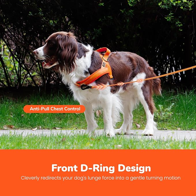 No Pull Dog Harness for Small Dogs, Breathable Mesh Padded, Orange,XS | Quick Fit, Easy On and Off, Lightweight, Reflective Vest Harness for Night Safty, Easy for Walking and Training, Chest 15-18" - Image 5