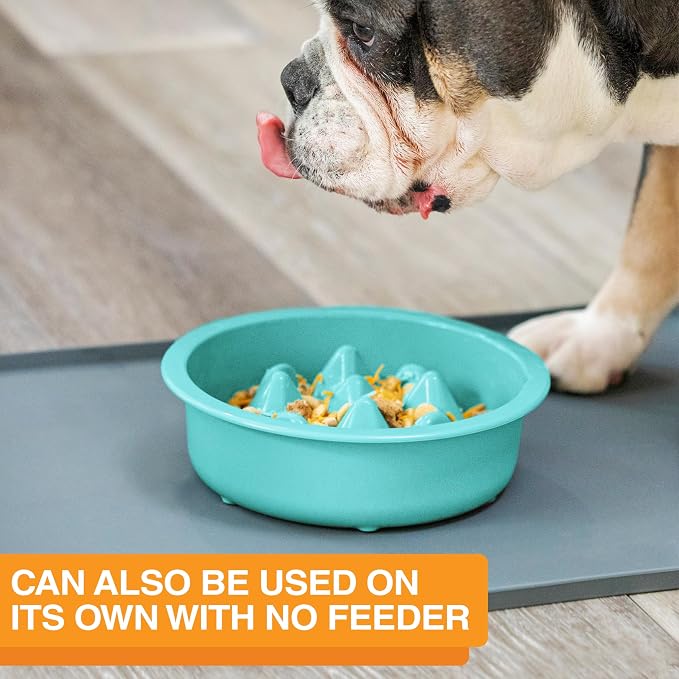 The Niner Slow Feed Bowl - Raised Peaks Slow Down Pets Eating - Fits Elevated Feeders Including Neater Feeder Large Sizes - Gentle on Teeth and Gums - Holds up to 2 Cups (Aquamarine) - Image 7