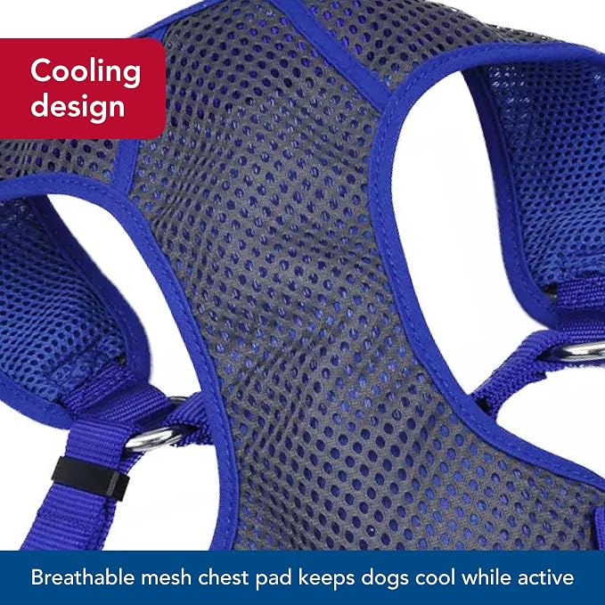 Coastal Pet Comfort Soft Sport Wrap Adjustable Dog Harness - Large & Small Dog Harness - Durable Harness for Dogs with Mesh Chest Pad - Grey with Blue, 5/8" x 16-19" - Image 4