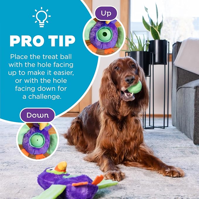 Outward Hound by Nina Ottosson Hide-Ablez Plush Dog Puzzle with Treat Ball, Toucan, Multicolored - Image 5