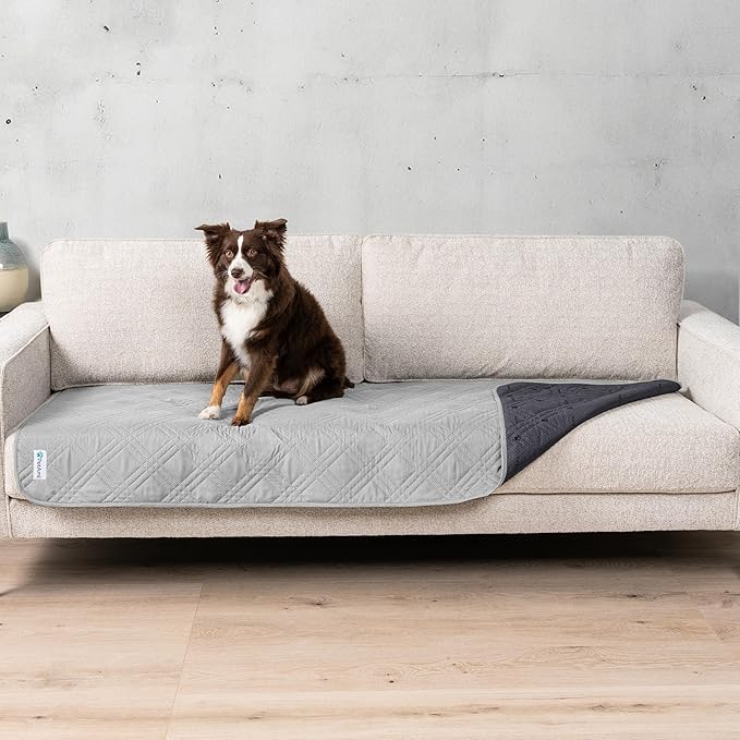 PetAmi Waterproof Couch Cover for Dog Bed Sofa Blanket, 30x70 Light Gray | Leakproof Furniture Protector for Pet Cat, Machine Washable Pee Proof Mat for Chair Car Seat, Durable & Anti Slip Backing by PetAmi