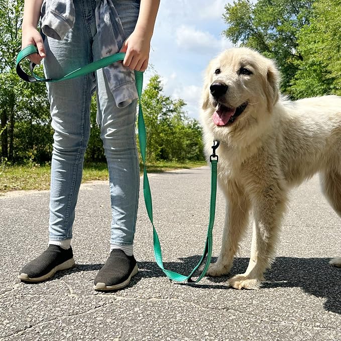 Joytale Dog Leash for Large Dogs that Pull, Double Handle, 6FT, Teal | Traffic Handle for Control, Padded Handle Reduces Hand Strain, Reflective Stitching for Night Safety, Strong Nylon Webbing - Image 7