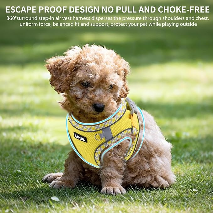 Small Dog Harness and Leash Set with Strong Magic Tape, Yellow XS | No Pull Step-in Vest for Puppy, Breathable Mesh, Reflective & Escape-Proof Design, Outdoor Use for Chihuahua, Maltese - Image 5